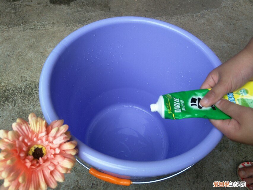 衣服发霉用什么洗掉霉斑？这样操作轻松解决霉斑