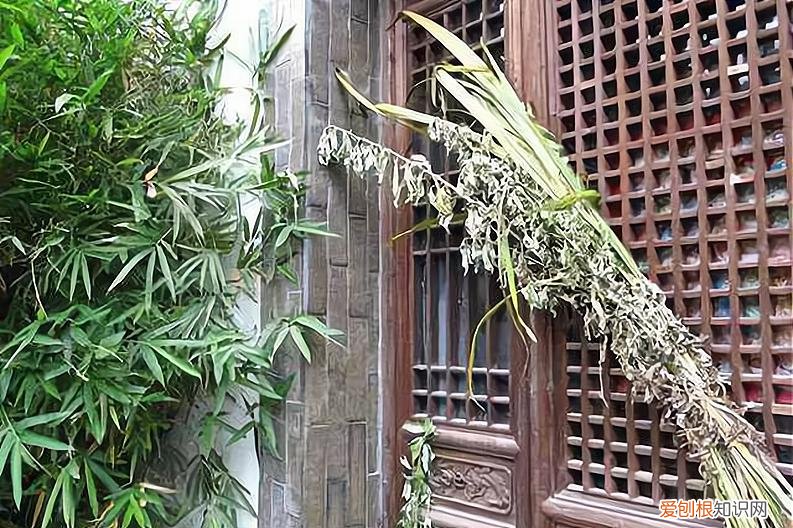 过端午4大禁忌要牢记 端午节是几月几日