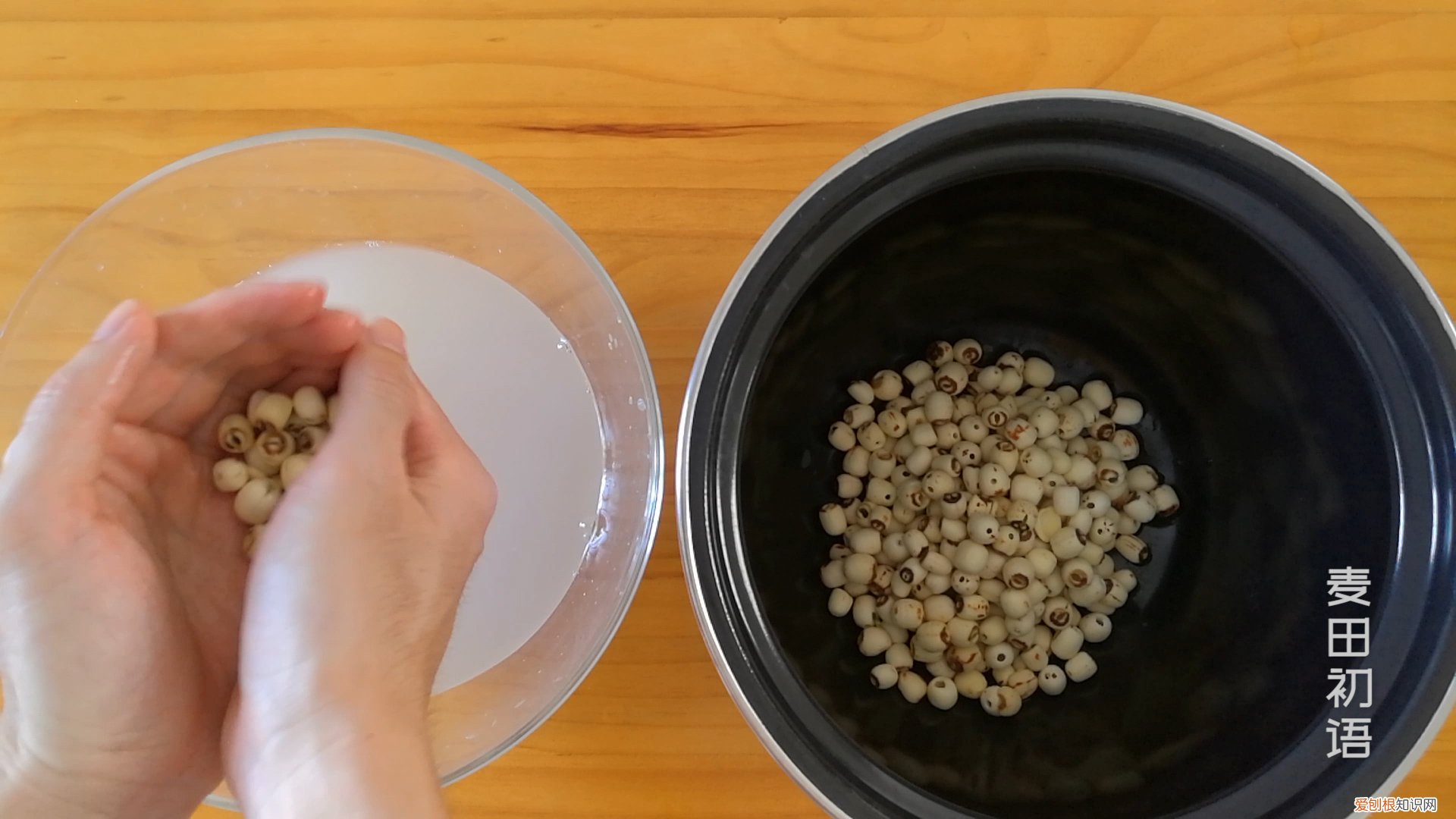 原料简单很容易学会 莲蓉馅是什么材料做的