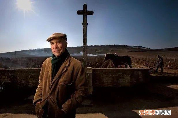 均价可达16万元人民币每瓶 罗曼尼康帝红酒多少钱一瓶