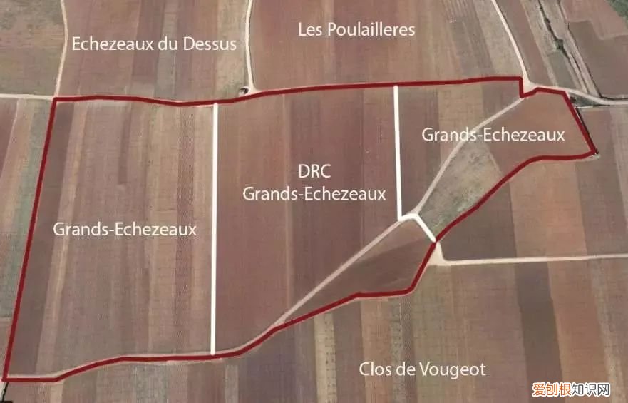 均价可达16万元人民币每瓶 罗曼尼康帝红酒多少钱一瓶