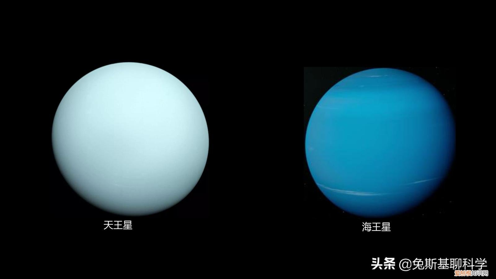 8张行星大小对比图 太阳系八大行星示意图