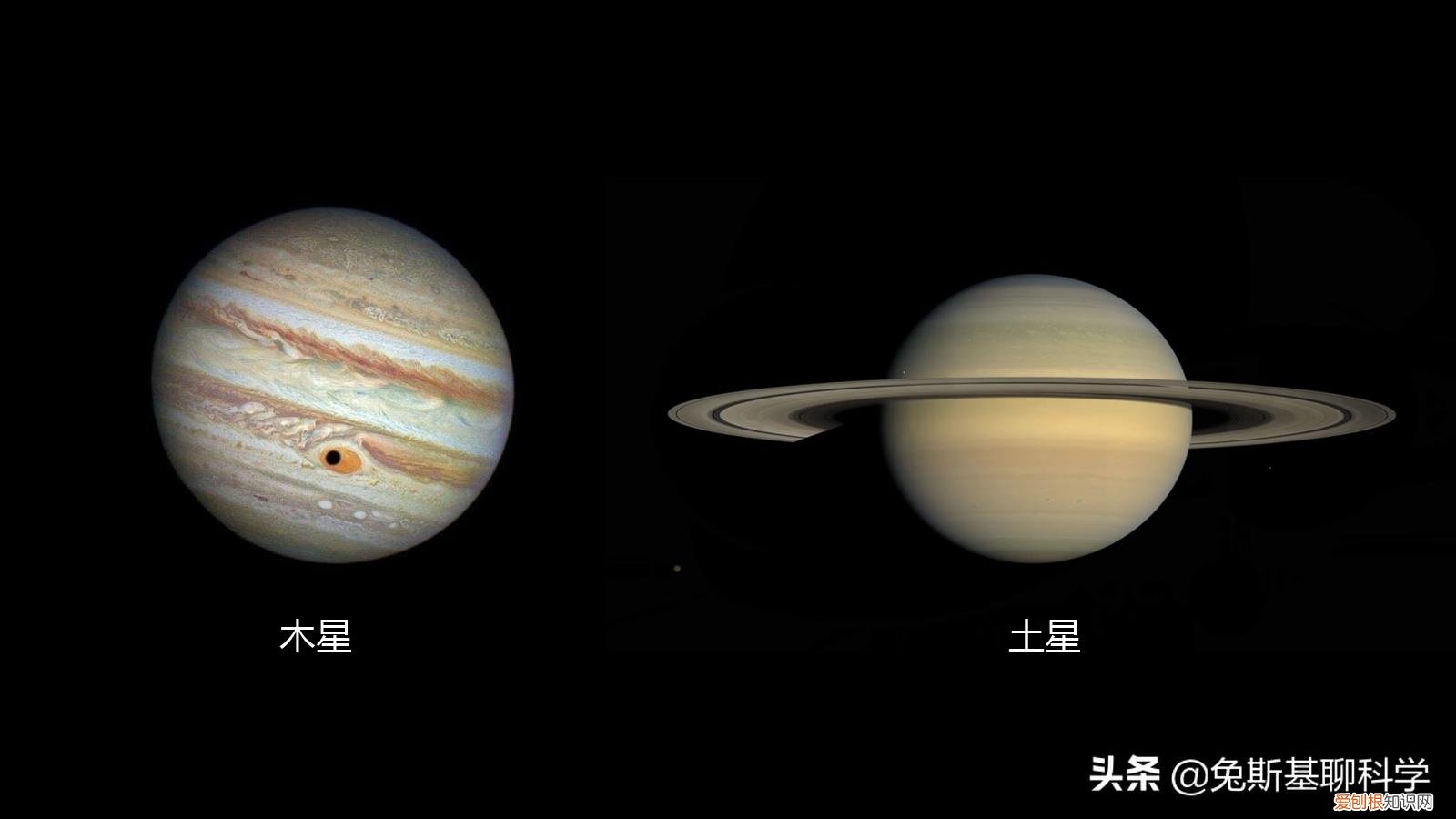 8张行星大小对比图 太阳系八大行星示意图
