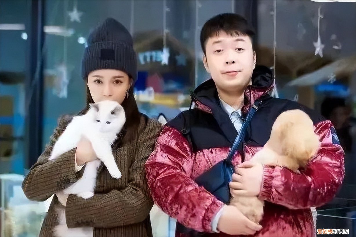 沈梦辰和杜海涛真的分手了吗 沈梦辰官宣分手