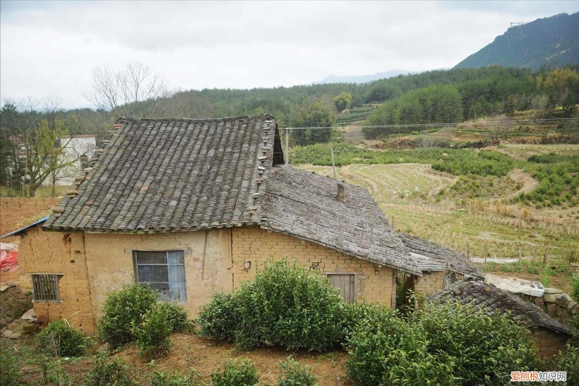 老祖宗有啥说法? 本命年虎年要注意什么