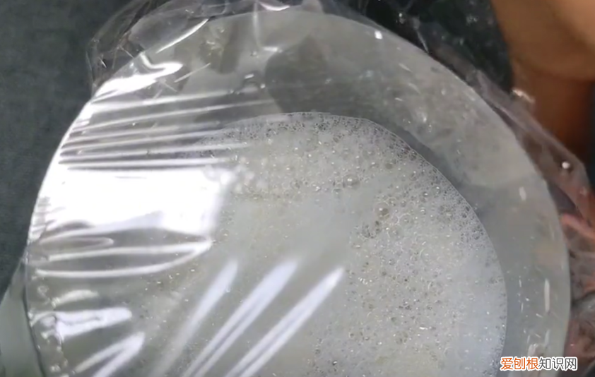 蟑螂会靠近熟睡的人吗？分享1个蟑螂消灭最彻底的妙招