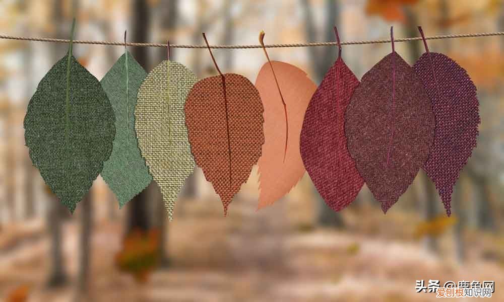 莫代尔真的好吗？莫代尔是什么面料