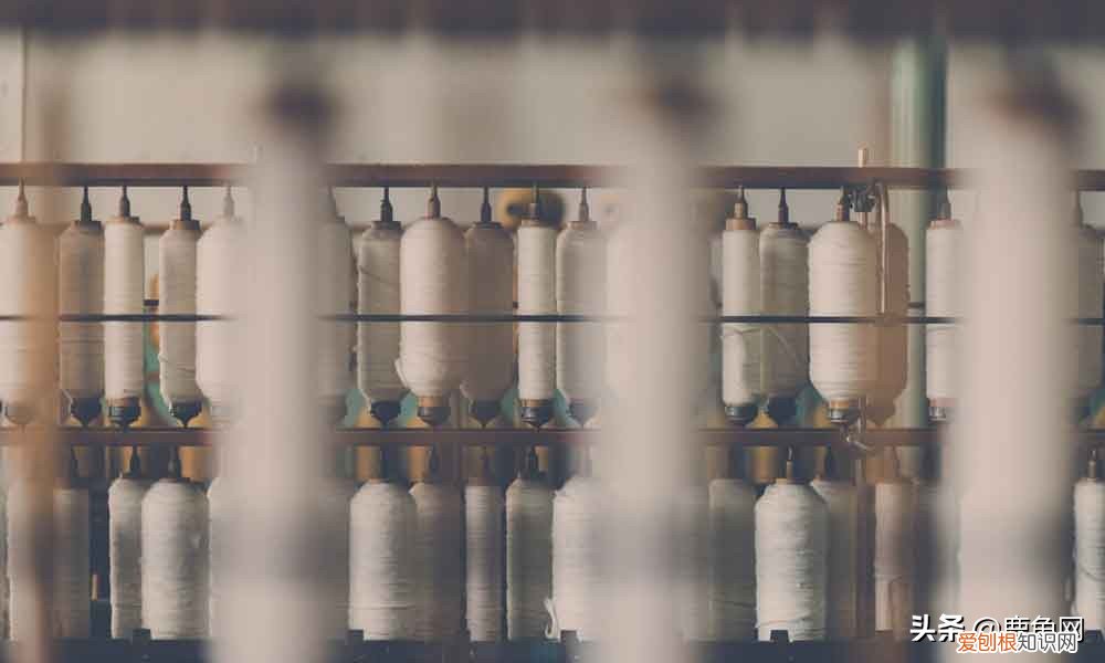 莫代尔真的好吗？莫代尔是什么面料