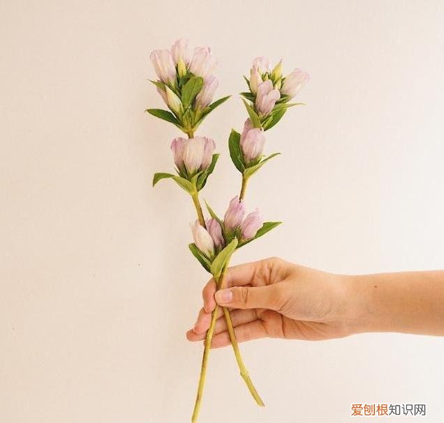 深情走心，甜到心窝里! 最感动婚外情人的句子