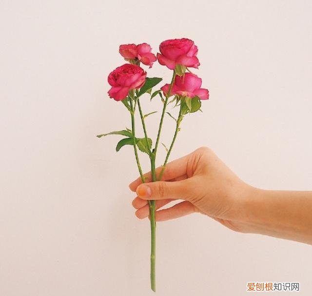 深情走心，甜到心窝里! 最感动婚外情人的句子