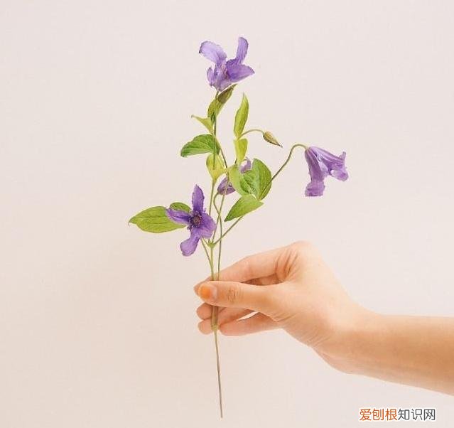 深情走心，甜到心窝里! 最感动婚外情人的句子