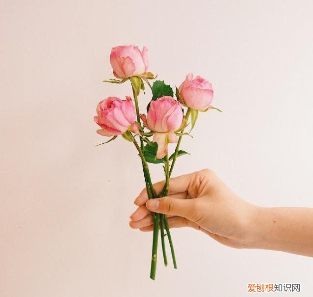 深情走心，甜到心窝里! 最感动婚外情人的句子