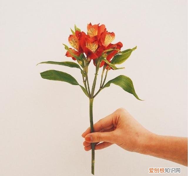 深情走心，甜到心窝里! 最感动婚外情人的句子