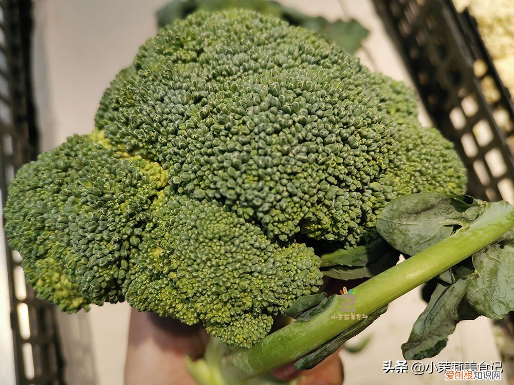 西兰花变黄了还能吃吗？变黄不太影响西兰花的食用