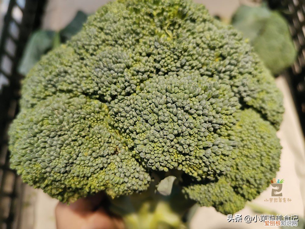 西兰花变黄了还能吃吗？变黄不太影响西兰花的食用