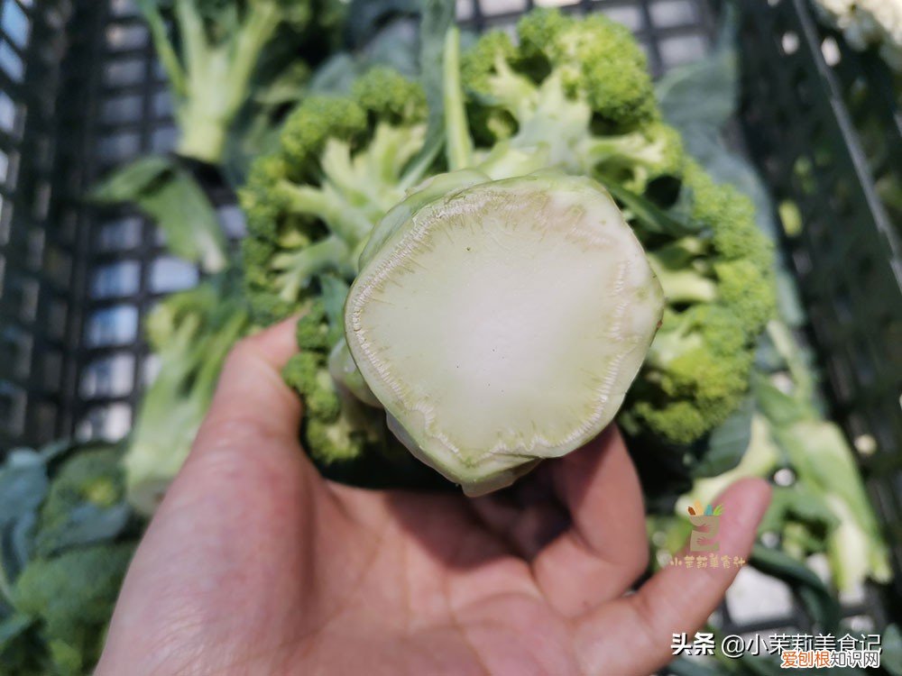 西兰花变黄了还能吃吗？变黄不太影响西兰花的食用