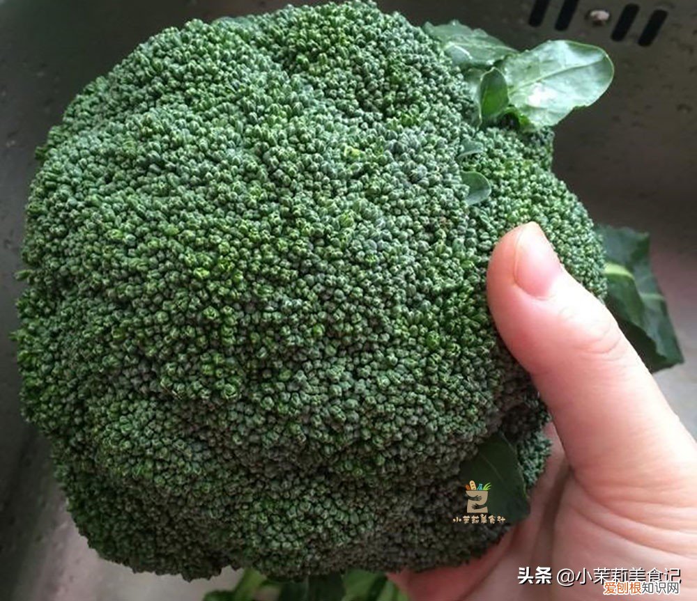 西兰花变黄了还能吃吗？变黄不太影响西兰花的食用