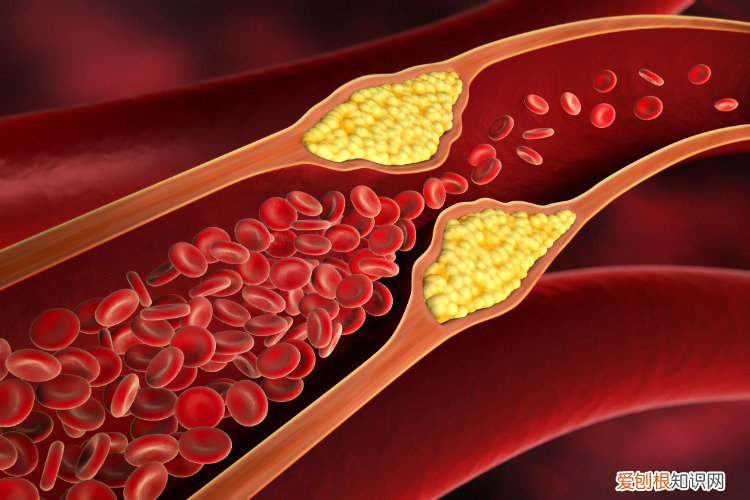 常喝绿茶的9种好处 绿茶的功效与作用