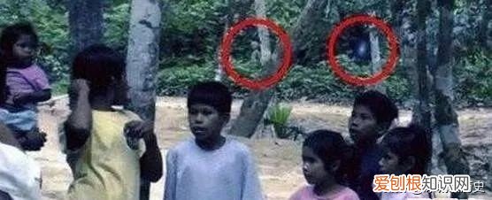 影片惊现奇异生物形似外星人 巴西亚马逊外星人事件
