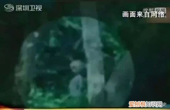 影片惊现奇异生物形似外星人 巴西亚马逊外星人事件