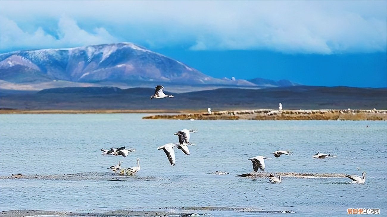 长江源头在哪里？长江有三源，最长和水量最大者不是它