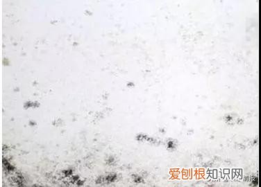 墙壁发霉怎么处理？7招拯救你家墙面，跟霉说永别