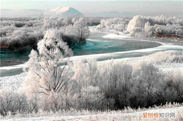 中国最冷的地方是什么地方？附：中国最冷6个城市
