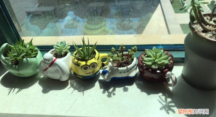 附：4个擦玻璃的小妙招 擦玻璃用什么擦最干净小妙招