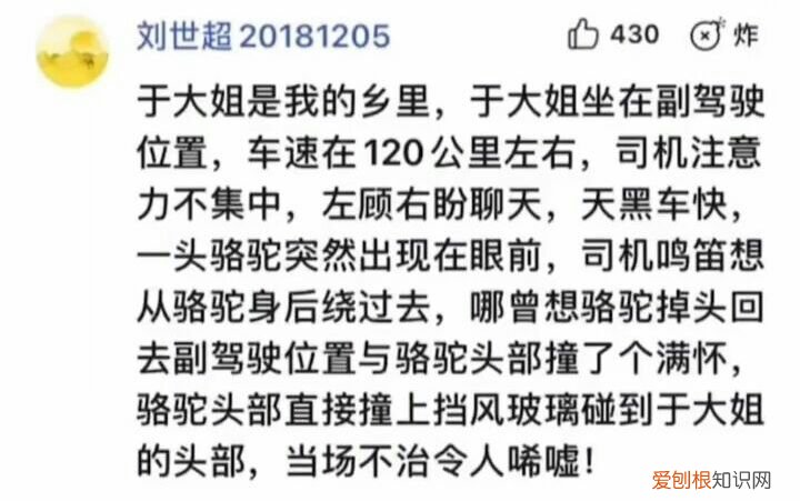 于月仙个人资料简历 于月仙同车终于说出真相