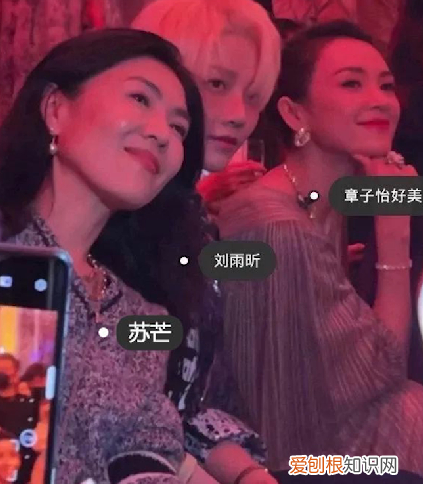 遭名门痞女洪晃暗讽 苏芒坐大腿事件是怎么回事