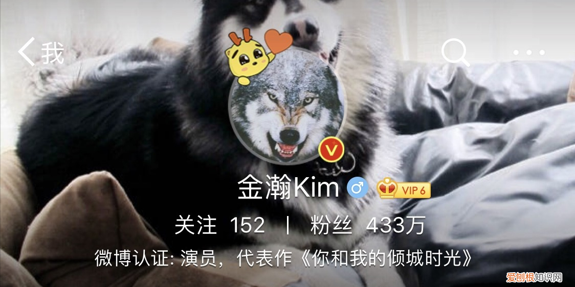 曾恋上大6岁女星，吻戏被孙怡嫌 金瀚个人资料简介