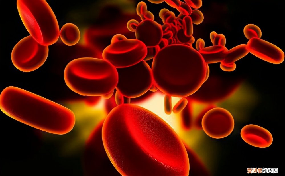 淋巴细胞百分比偏高一点点要紧吗？看看专家怎么说