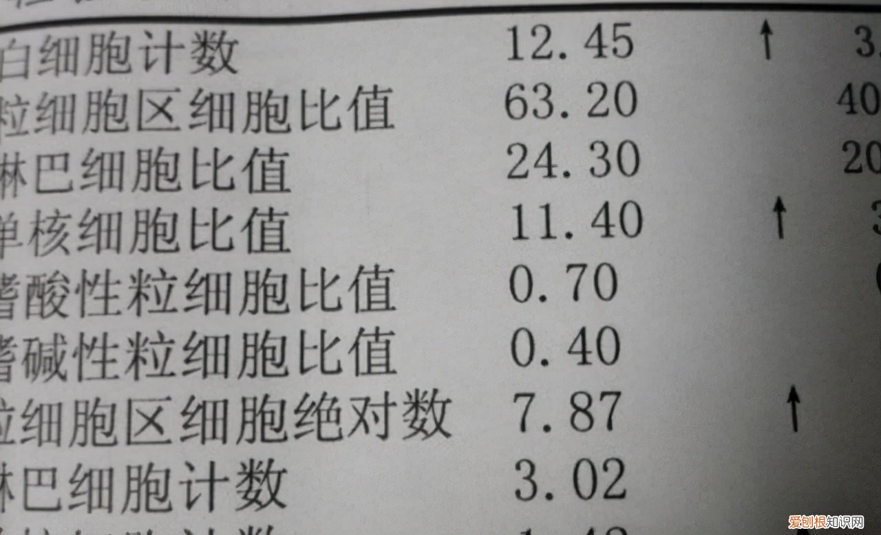 淋巴细胞百分比偏高一点点要紧吗？看看专家怎么说