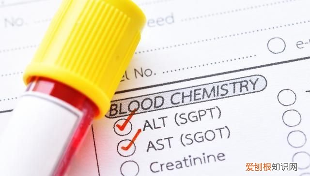 总胆红素偏高说明什么？三个危害，早发现及时就医