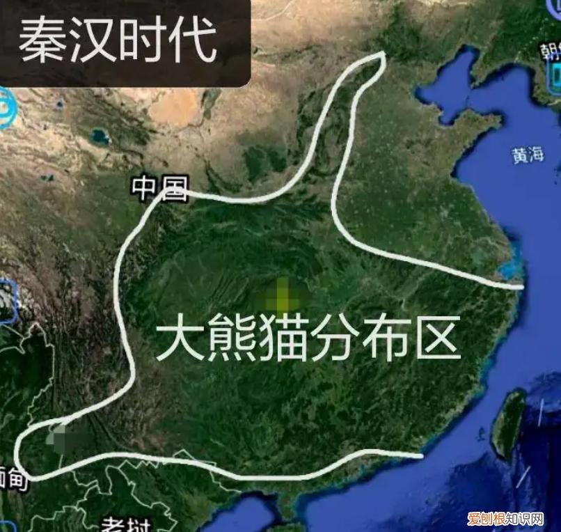 大熊猫生活在什么地方？一文读懂大熊猫分布区域