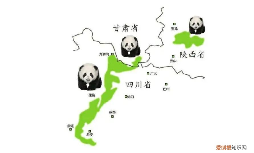 大熊猫生活在什么地方？一文读懂大熊猫分布区域