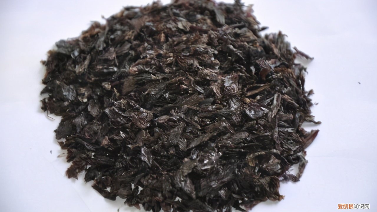 这5种食物含钙量都很高 含钙高的有哪些食物