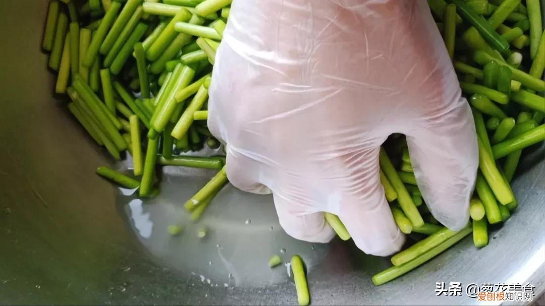 蒜苔怎么腌制才好吃？腌蒜苔的正宗做法和配方