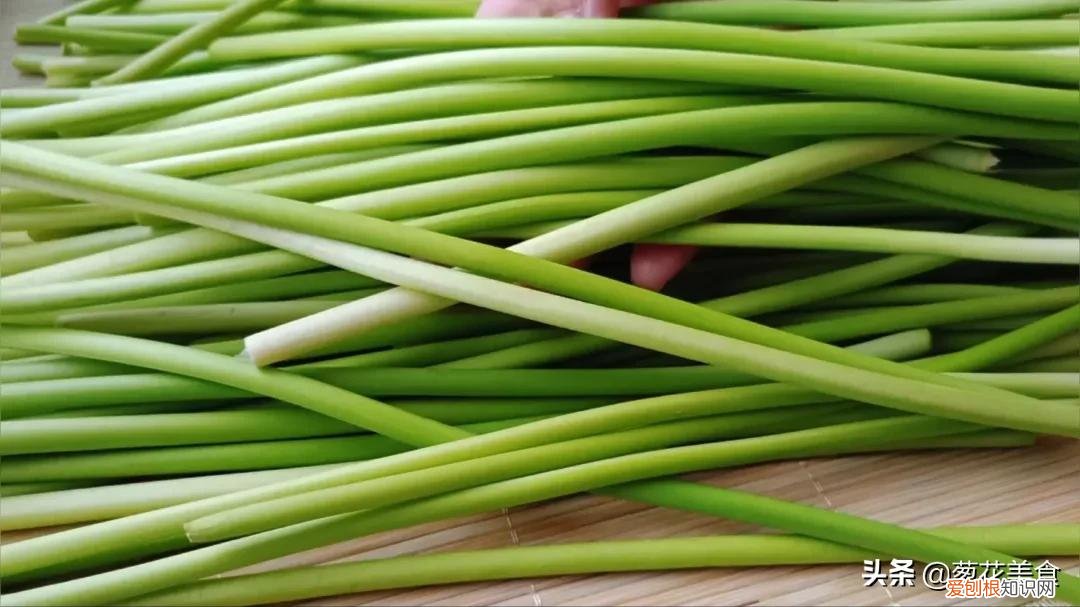 蒜苔怎么腌制才好吃？腌蒜苔的正宗做法和配方