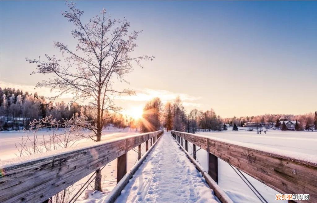 佛说：生命中的许多是可遇不可求 佛教最高境界的一句话