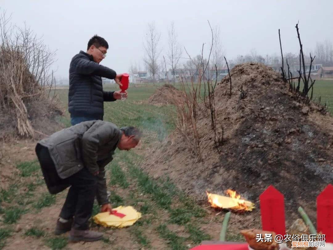 坟上不长草后代必出？上坟要留意一下