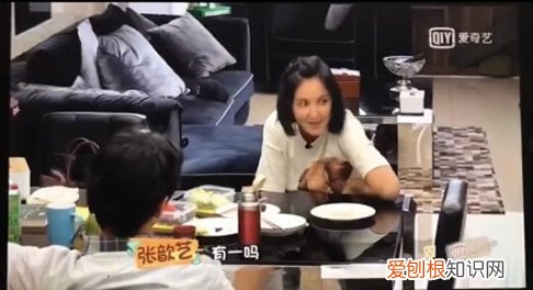 张歆艺有1吗是什么梗 0和1是什么梗