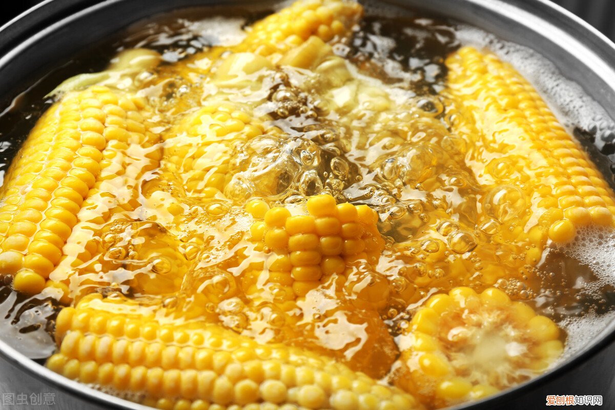 几分钟最香甜?一文搞懂 玉米煮多少分钟就可以吃了