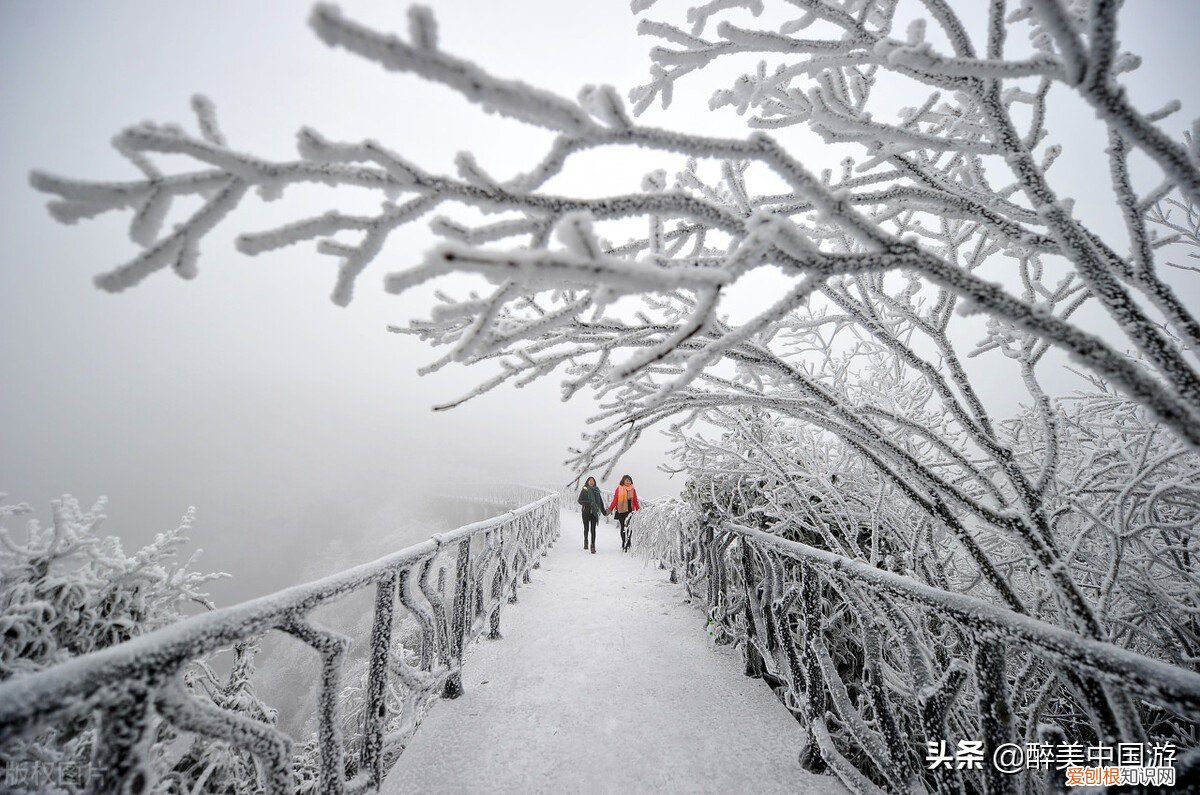 最实用的天门山攻略详解 张家界旅游攻略自由行攻略