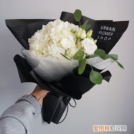 2022最好的晚安说说，人人点赞 晚安的朋友圈说说