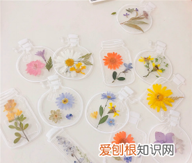 这些礼物送给老师特显心意 送老师实用的20个礼物排名