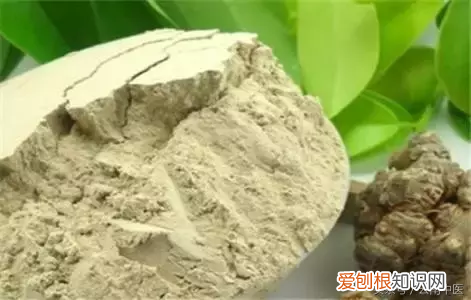 千万别用错，真该给所有人看看! 三七粉有6种人不能吃