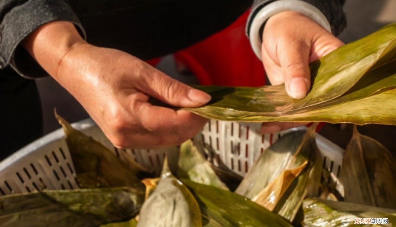粽叶怎么处理才能包粽子？处理粽叶时，做好“2泡1煮