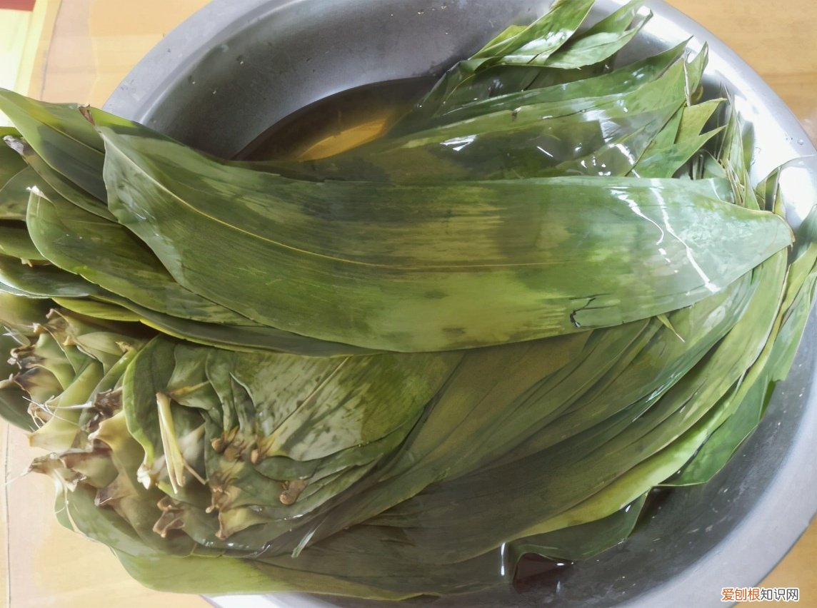 粽叶怎么处理才能包粽子？处理粽叶时，做好“2泡1煮