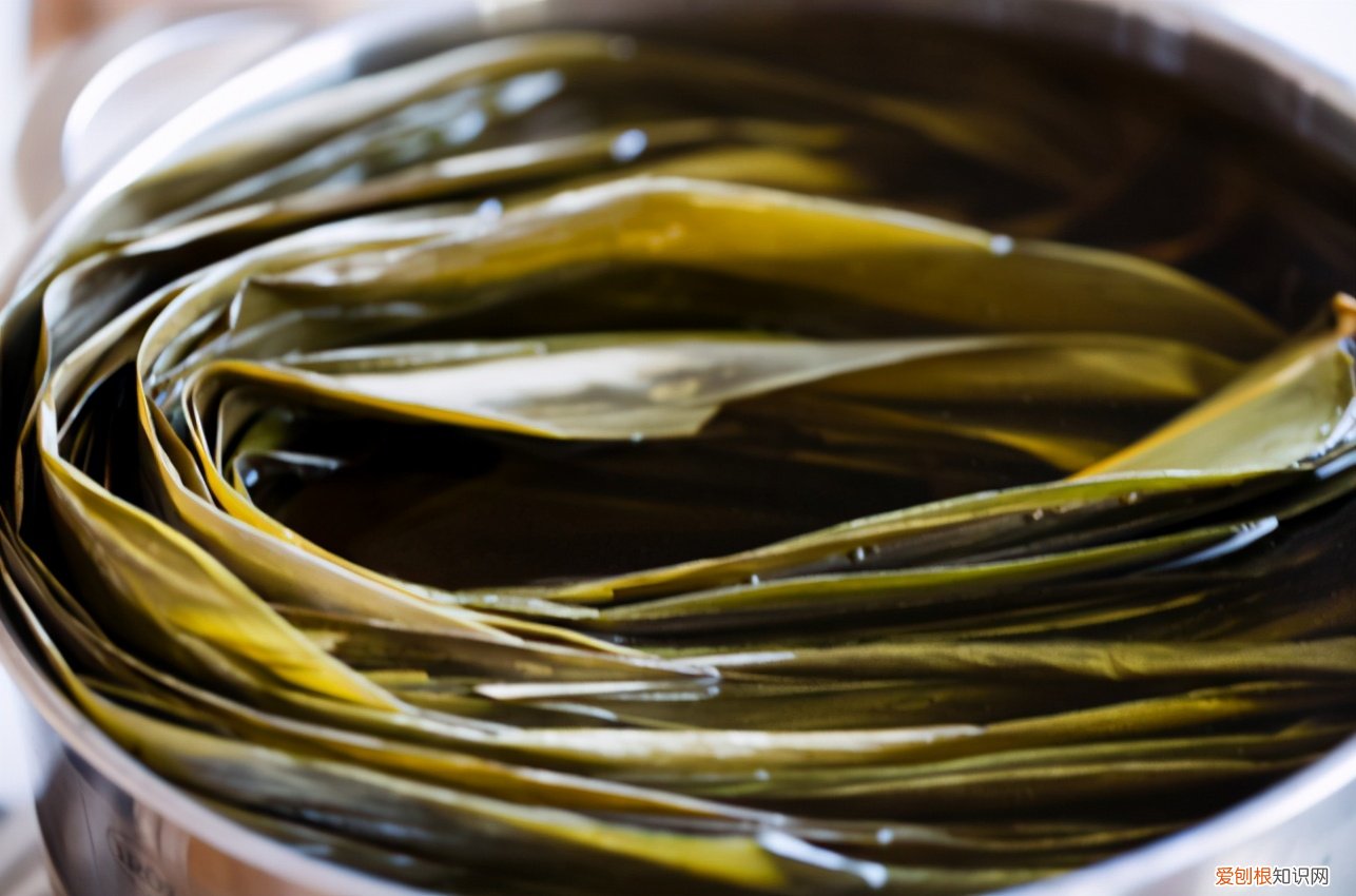 粽叶怎么处理才能包粽子？处理粽叶时，做好“2泡1煮